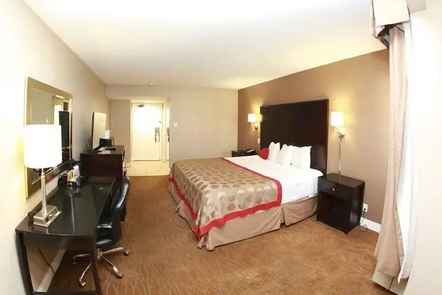 Süit, 1 En Büyük (King) Boy Yatak, Sigara İçilmez (One-Bedroom)