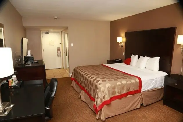 Süit, 1 En Büyük (King) Boy Yatak, Sigara İçilmez (One-Bedroom)