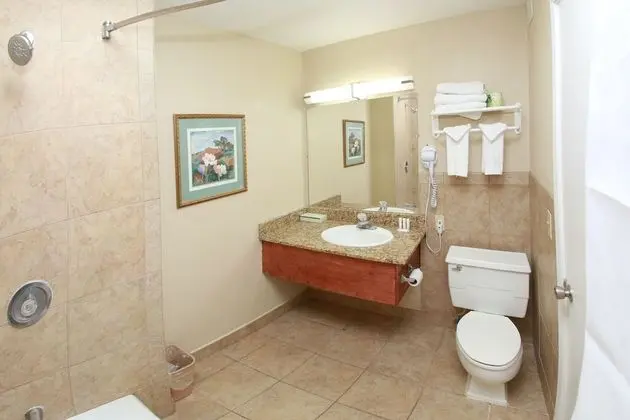 Süit, 1 En Büyük (King) Boy Yatak, Sigara İçilmez (One-Bedroom)