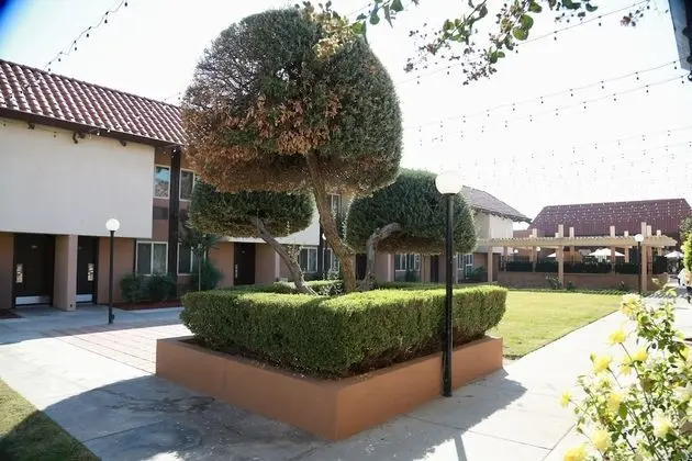 Süit, 1 En Büyük (King) Boy Yatak, Sigara İçilmez (One-Bedroom)