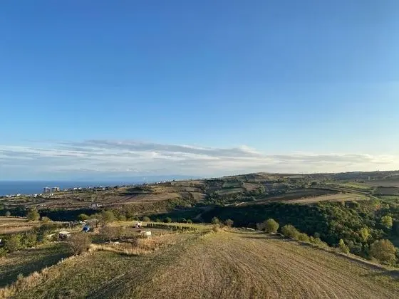 Deluxe Oda, 1 Tek Kişilik Yatak, Sigara İçilmez (Valley and Partial Sea View)