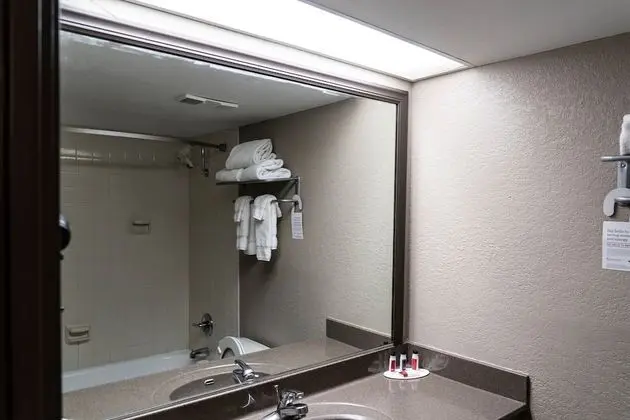 Süit, 1 En Büyük (King) Boy Yatak, Sigara İçilmez (One-Bedroom)