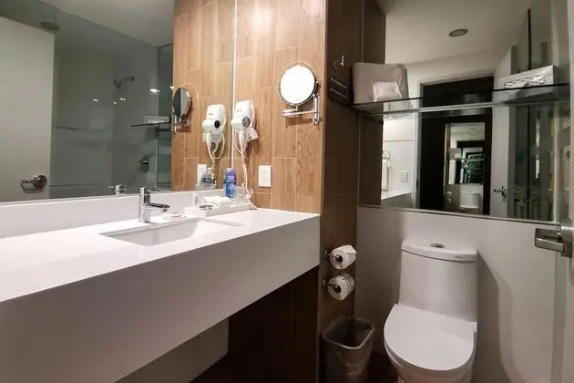 Oda, 1 Büyük (Queen) Boy Yatak, Engellilere Uygun, Sigara İçilmez (Roll-In Shower)