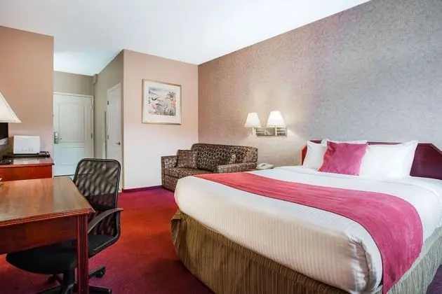 Oda, 1 Büyük (Queen) Boy Yatak, Sigara İçilmez (Pet Friendly)