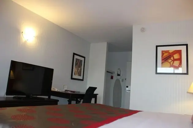 Standard Oda, 1 En Büyük (King) Boy Yatak, Sigara İçilmez