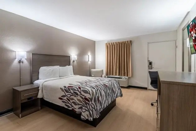 Standard Oda, 1 Büyük (Queen) Boy Yatak, Engellilere Uygun, Sigara İçilmez