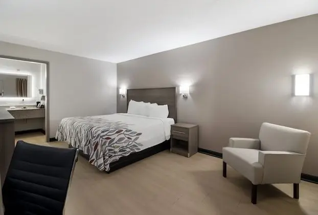 Superior Oda, 1 En Büyük (King) Boy Yatak, Sigara İçilmez