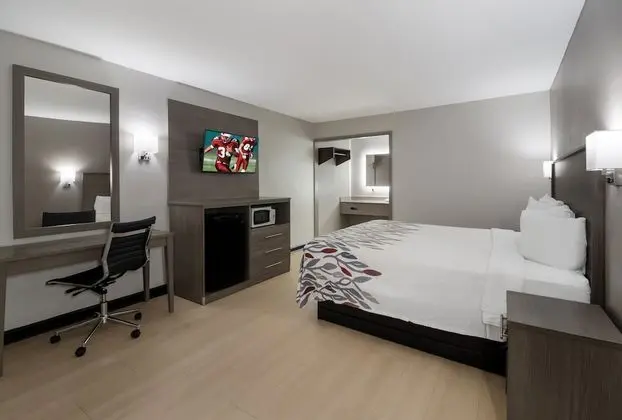 Superior Oda, 1 En Büyük (King) Boy Yatak, Sigara İçilmez