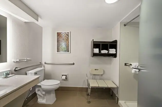 Standard Oda, 1 En Büyük (King) Boy Yatak, Engellilere Uygun, Sigara İçilmez (Walk-in Shower)