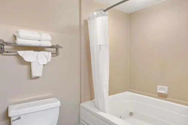 Oda, 1 En Büyük (King) Boy Yatak, Engellilere Uygun, Sigara İçilmez (Mobility Accessible)