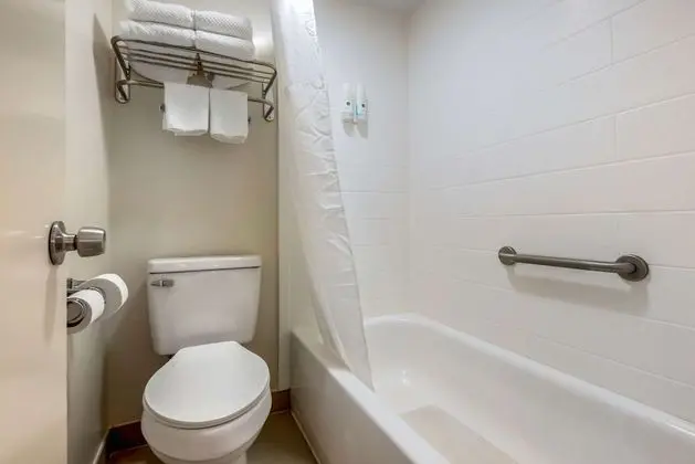 Süit, Sigara İçilmez (2 Double beds, 1 Sofa Bed)