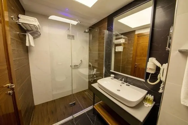 Oda, Engellilere Uygun (Mobility, Roll-In Shower)