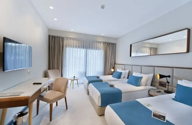 Deluxe Oda, 2 Tek Kişilik Yatak, Sigara İçilmez, Şehir Manzaralı