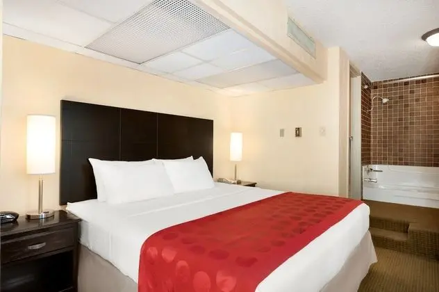 Süit, 1 En Büyük (King) Boy Yatak, Sigara İçilmez (One-Bedroom)