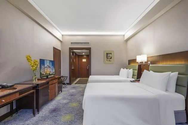 Deluxe Oda, 2 Tek Kişilik Yatak, Sigara İçilmez (Business)