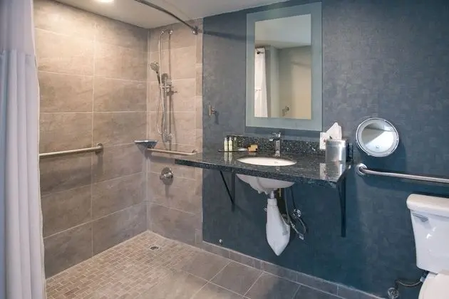 Oda, 1 En Büyük (King) Boy Yatak, Engellilere Uygun (Mobility & Hearing, Roll-in Shower)