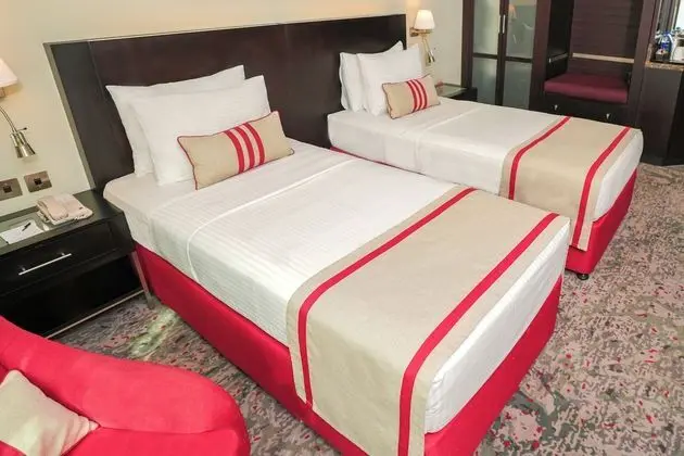 Deluxe Oda, 2 Tek Kişilik Yatak, Engellilere Uygun, Sigara İçilmez