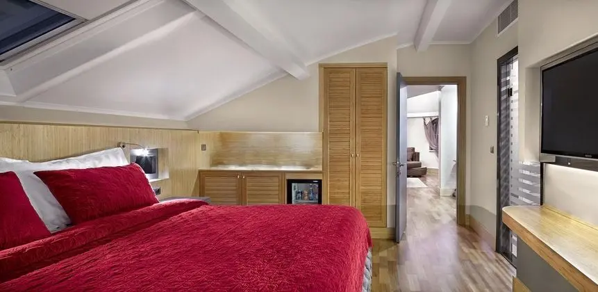 Presidential Suite,Şehir Manzaralı,Jakuzili ve Teraslı