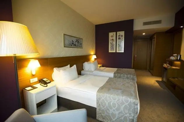 Standart Oda, Şehir Manzaralı