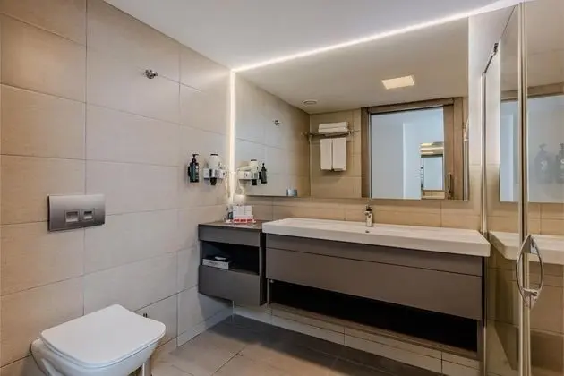 Deluxe French Oda,Şehir Manzaralı