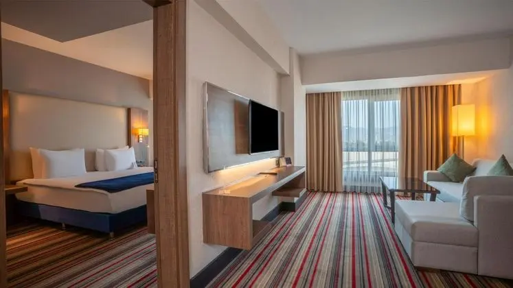 Executive Suite,Şehir Manzaralı