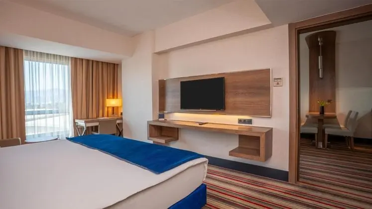 Executive Suite,Şehir Manzaralı