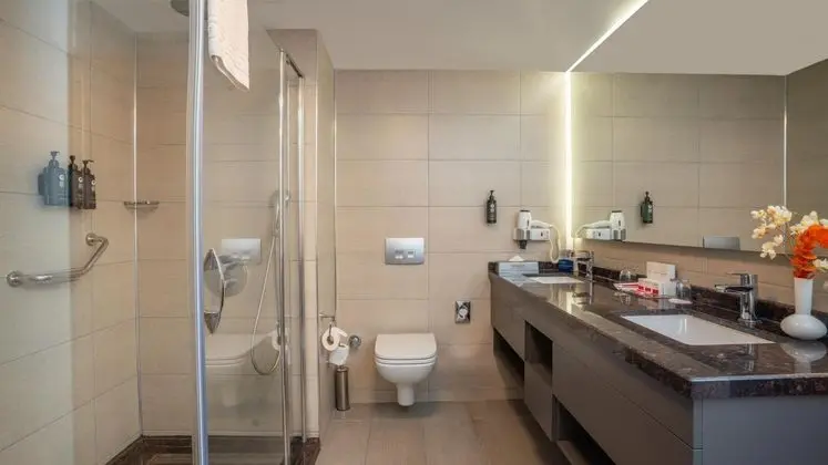 Executive Suite,Şehir Manzaralı