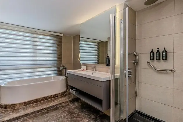 Superior Suite,Şehir Manzaralı