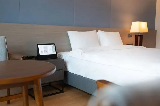 Superior Oda, 1 En Büyük (King) Boy Yatak, Sigara İçilmez