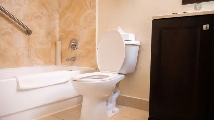 Deluxe Oda, 2 Büyük (Queen) Boy Yatak, Küçük Mutfak, Kısmi Manzaralı (Non-Smoking)