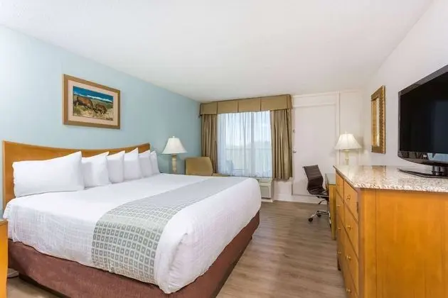 Oda, 1 En Büyük (King) Boy Yatak, Sigara İçilmez, Şehir Manzaralı (Pet-Friendly)