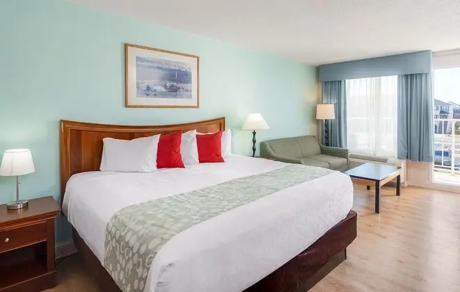 Oda, 1 En Büyük (King) Boy Yatak, Sigara İçilmez, Şehir Manzaralı (Pet-Friendly)