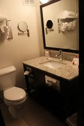 Executive Oda, 1 En Büyük (King) Boy Yatak (One-Bedroom)