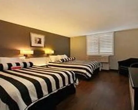 Süit, 2 Çift Kişilik Yatak, Sigara İçilmez (One-Bedroom)