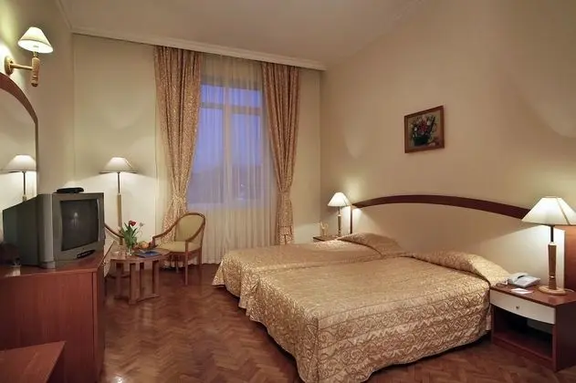 Business Oda, 1 En Büyük (King) Boy Yatak, Sigara İçilmez, Şehir Manzaralı
