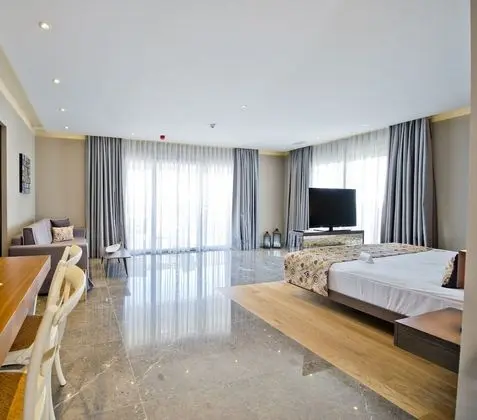 Premium Süit, 1 En Büyük (King) Boy Yatak, Sigara İçilmez