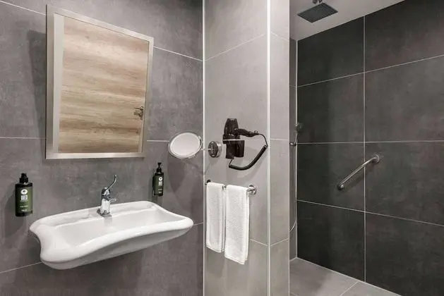 Oda, 1 Büyük (Queen) Boy Yatak, Engellilere Uygun, Sigara İçilmez (Land View, Roll-In Shower)