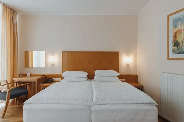 Superior Tek Büyük Yataklı Oda