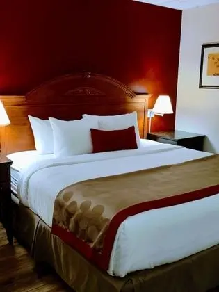 Süit, Birden Çok Yatak, Sigara İçilmez, Havuz Manzaralı (Two-Bedroom)