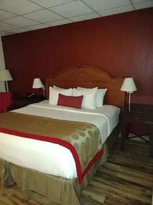Süit, Birden Çok Yatak, Sigara İçilmez, Havuz Manzaralı (Two-Bedroom)