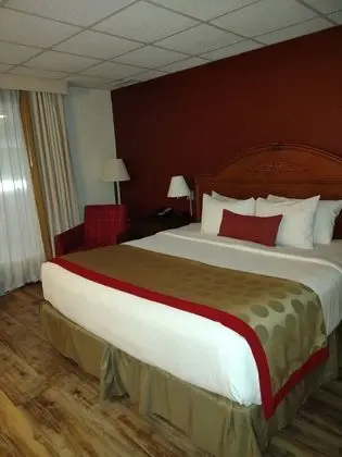 Süit, Birden Çok Yatak, Sigara İçilmez, Havuz Manzaralı (Two-Bedroom)