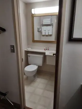 Süit, Birden Çok Yatak, Sigara İçilmez, Havuz Manzaralı (Two-Bedroom)