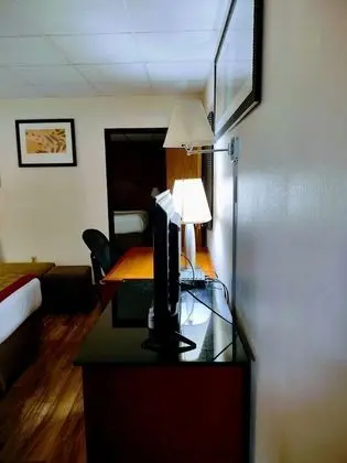 Süit, Birden Çok Yatak, Sigara İçilmez, Havuz Manzaralı (Two-Bedroom)