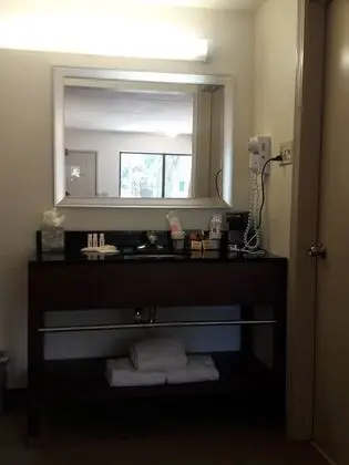 Oda, 1 En Büyük (King) Boy Yatak, Engellilere Uygun, Sigara İçilmez (Roll-In Shower)