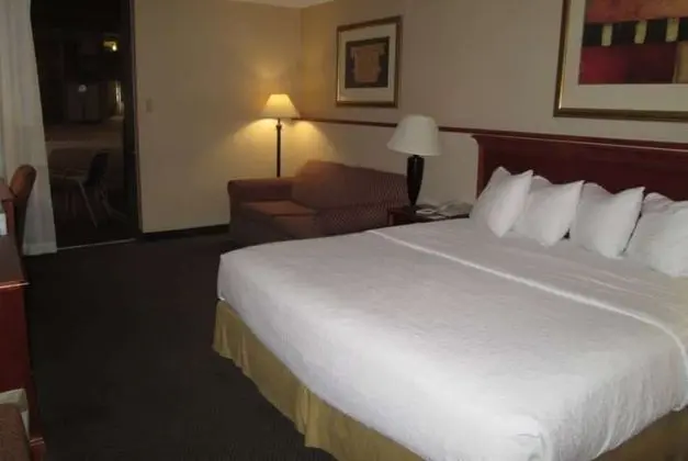 Oda, 1 En Büyük (King) Boy Yatak, Sigara İçilmez, Havuz Kenarı