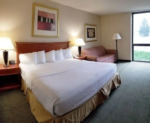 Oda, 1 En Büyük (King) Boy Yatak, Sigara İçilmez, Havuz Kenarı