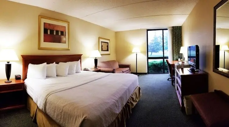 Oda, 1 En Büyük (King) Boy Yatak, Sigara İçilmez, Havuz Kenarı