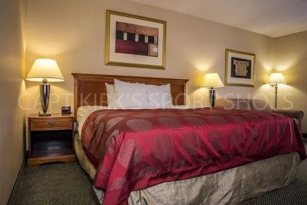 Oda, 1 En Büyük (King) Boy Yatak, Sigara İçilmez, Havuz Kenarı