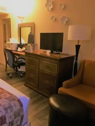 Oda, 1 Büyük (Queen) Boy Yatak, Sigara İçilmez