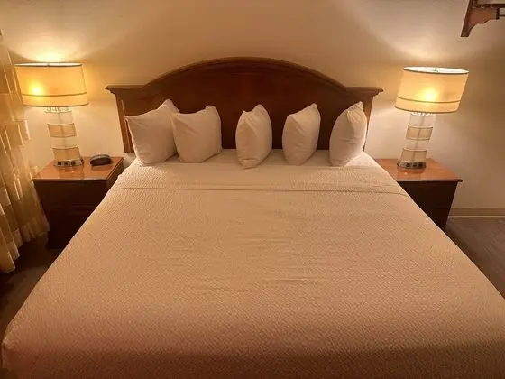 Oda, 1 En Büyük (King) Boy Yatak, Sigara İçilmez